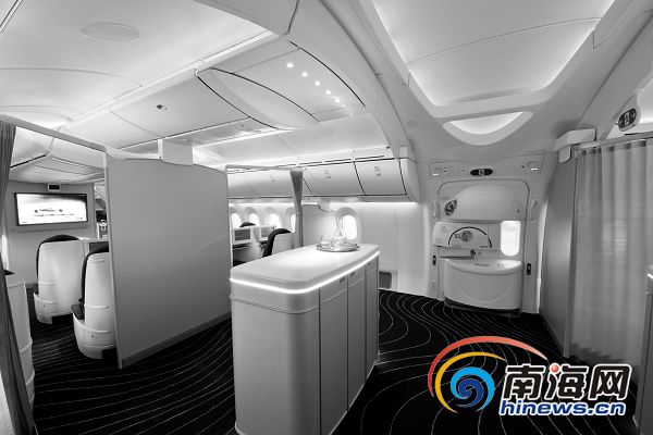 �ܵ��ɂ�(c��)�����˻��Ρ�ˮ�T(m��n)�����gӭ����787�ĵ���(l��i)����DƬ���ɱ���(b��o)ӛ�������t�z